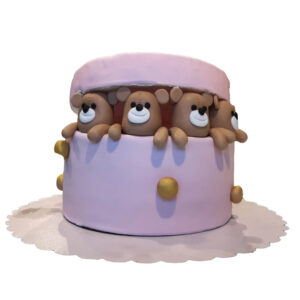Teddies in Box Cake