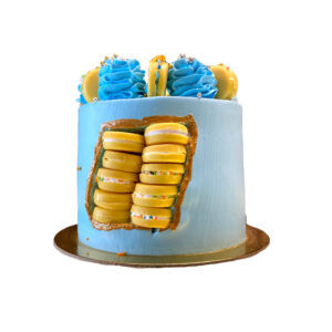 Designer Macaron Drip Cake