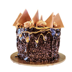 Designer Choco Chips Chocolate Cake