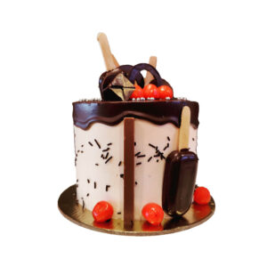 Designer Chocolate Popsicle Cake