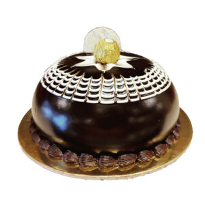 Designer Chocolate Dome Cake