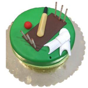 Cricket Theme Cake
