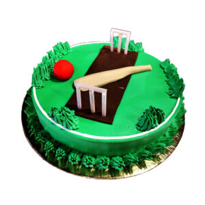 Cricket Pitch Theme Cake